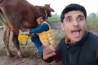 african happy birthday video or happy birthday video