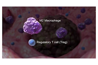 do 2d, 3d medical animation, healthcare explainer, healthcare, and anatomy video