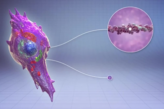 3d medical animation video 3d animation video 3d industrial animation