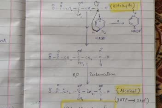 help in chemistry, organic, general, physical, assignments