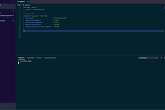 be your terraform iac guy