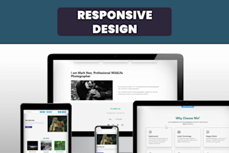 be reactjs or mern stack web developer for web development