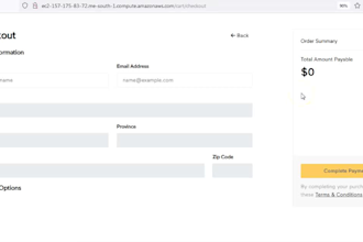 do manual software testing web and mobile with bug report