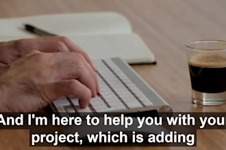 add professional subtitles or captions to any video
