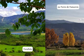 design and create visual content for tourism offers