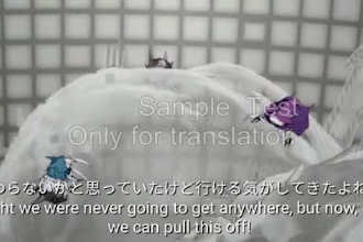add japanese, indonesia subtitle professionally