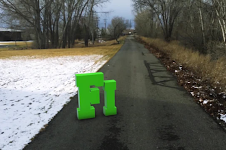 do a professional motion tracking
