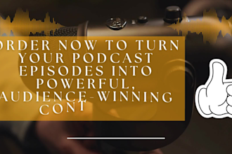 write professional podcast show notes in just one day