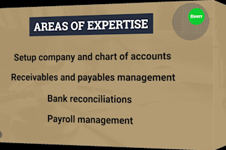 be your accountant and financial analyst