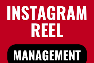 create engaging theme based instagram reels for your brand