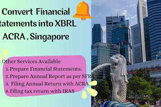 convert financial statements into xbrl for singapore company