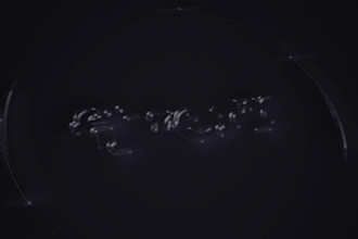 produce glorious logo animation or youtube intro videos