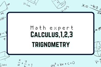 tutor elementary middle and high school mathematics