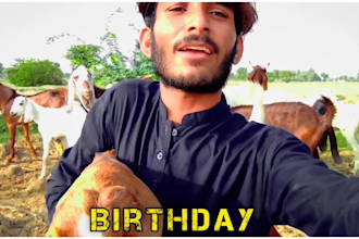 record a funny birthday video with goats