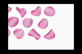 design awesome Season Greetings and Party Invitations