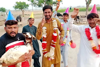 wish crazy african happy birthday video or happy birthday