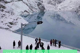 add professionaly synced subtitles or captions to your video