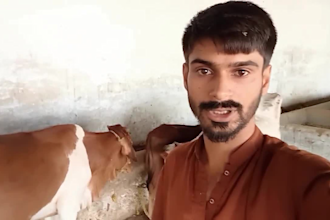 make a happy fathers day video gift with music