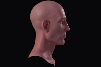 model and texture realistic or stylized head for character