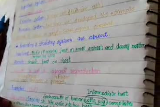 assist with math, physics, computer science biology