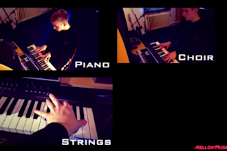produce original instrumental music for you