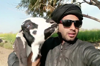 wish funny happy birthday video or african happy birthday video