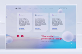 develop professional web app using cutting edge technologies