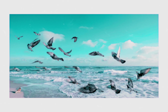 edit your youtube video professionally