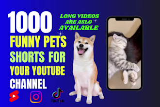 create 1000 funny pets youtube shorts or reels