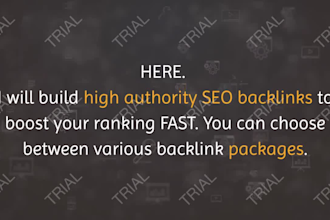 build high authority SEO backlinks to boost your rankings