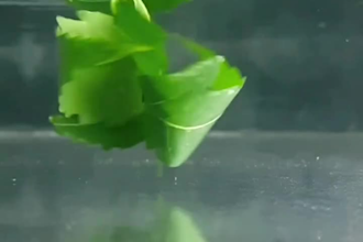 create hailuo realistic ai product video ai tiktok video tiktok marketing