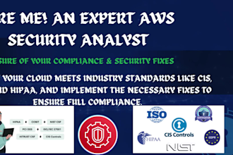 provide expert AWS cloud security analysis and compliance