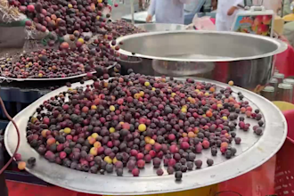 record street food videos or do photography for you