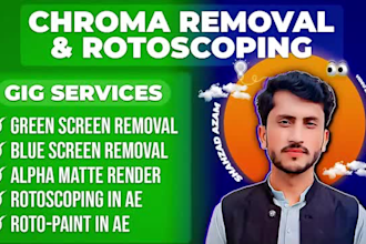 do green screen removal, chroma key, rotoscoping in 12 hours