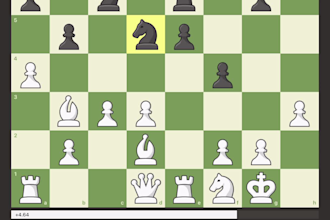 chess coaching sessions beginners to intermediate