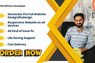 be your elementor pro expert for full website and fix errors