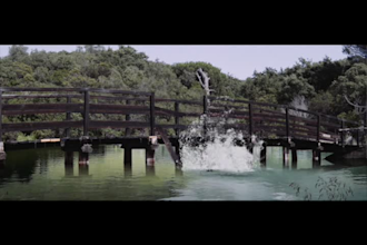 do hollywood visual effects
