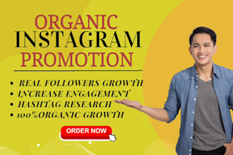 instagram promotion to targeted audience growth