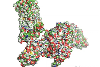 molecular docking analysis with 2d diagram and two 3d high quality image for pub