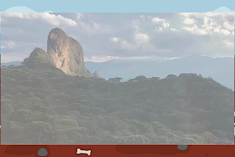 use my usp audiovisual degree and experience to edit videos professionaly
