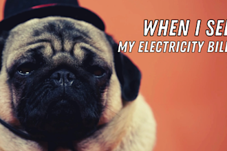 create funny viral memes and memes videos about your project