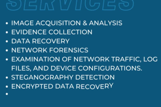 do digital forensics and cybercrime investigations