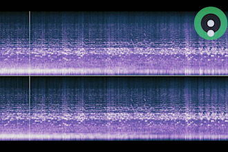 provide mastering and lab grade audio restoration services