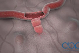 make attractive high quality 2d ,3d medical animation video and modeling