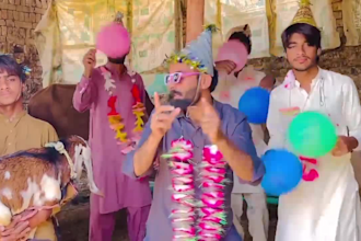 make happy birthday video or indian spokespersons