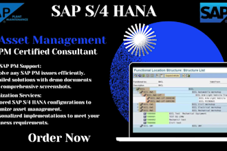 expert sap s4 hana eam pm support, customization, and training