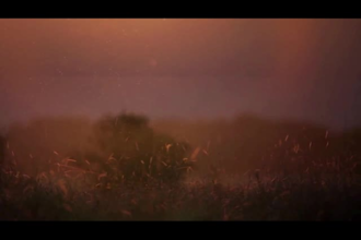 do professional video editing