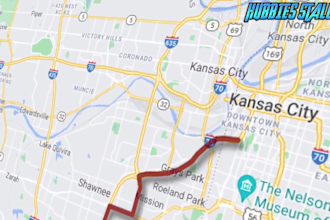 optimize your google my business for local SEO success