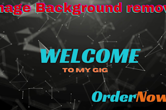 professional background removal ,photo editing,  image transparent,