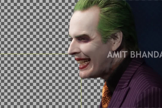 professional rotoscoping, green screen removal, roto paint